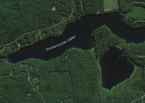 Knickerbocker Lake Aquatic Plant Screening Survey - 2016 Report